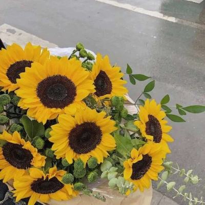 万博体育App全站下载