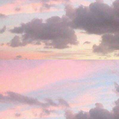 8868体育app下载手机版